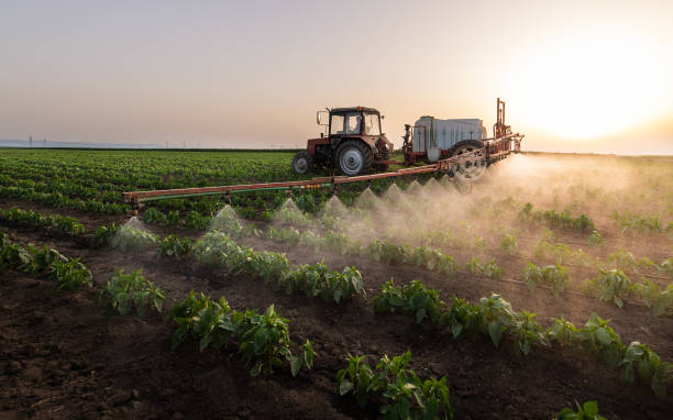 Best Pest Prevention Services  in Cordele, GA