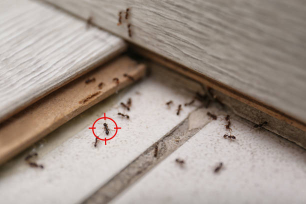 Pest Control Cost in Cordele, GA