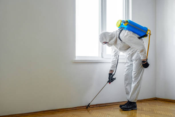 Best Commercial Pest Control Services  in Cordele, GA