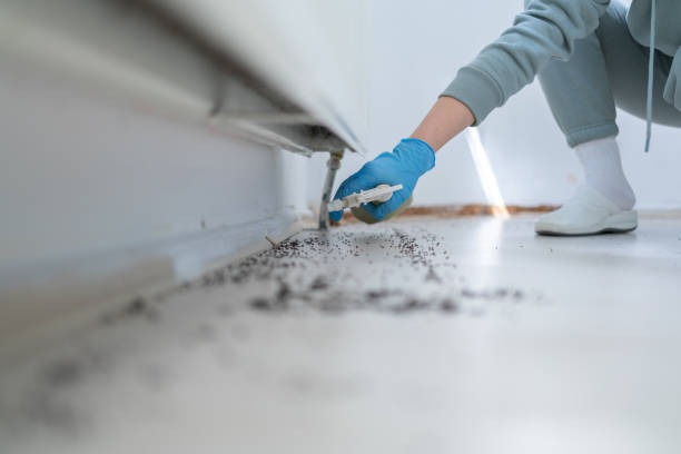 Best Best Pest Control Companies  in Cordele, GA