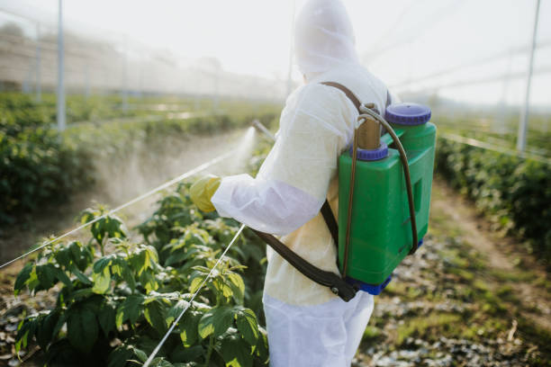 Best Exterminator Services  in Cordele, GA